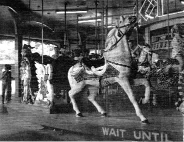 Carousel star gazing horse